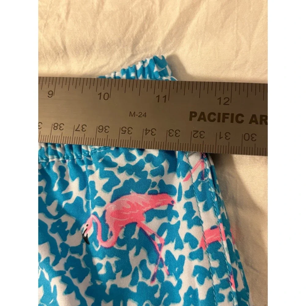 Chubbies Youth Boys Swim Trunks Pink Flamingo Teal Blue Mesh Lined Shorts XS 6/7